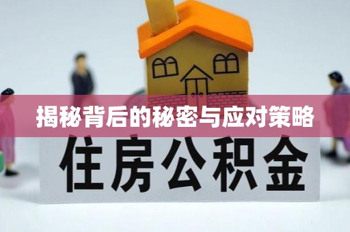 无锡揭秘背后的秘密与应对策略